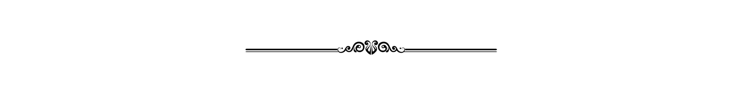 Divisor Línea Negra